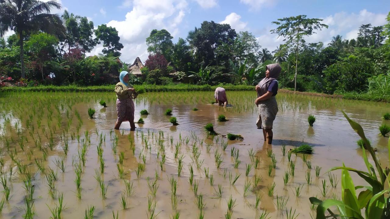 Jaya Homestay تيتيباتو المظهر الخارجي الصورة