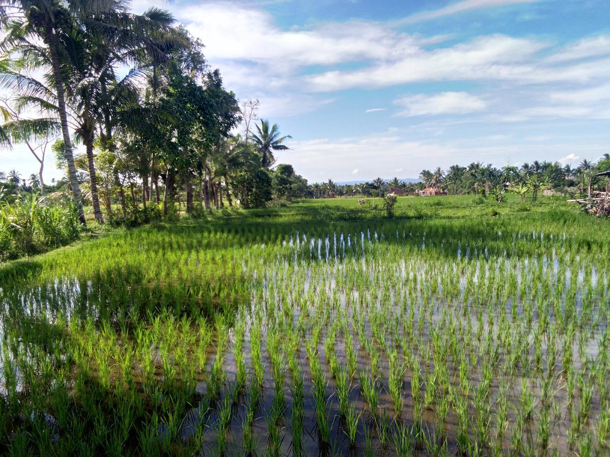 Jaya Homestay تيتيباتو المظهر الخارجي الصورة